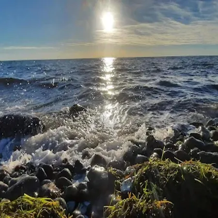 5 Star In * Nordenbro Vesteregn